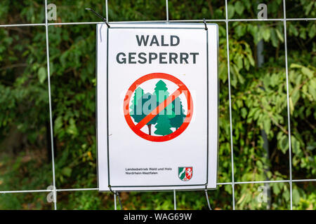 La demarcazione, folla barriera, diga, evitando, ramo e ramo di break, vista esterna, campo di registrazione, barriera, barricata, albero, danni ad albero, albero dama Foto Stock