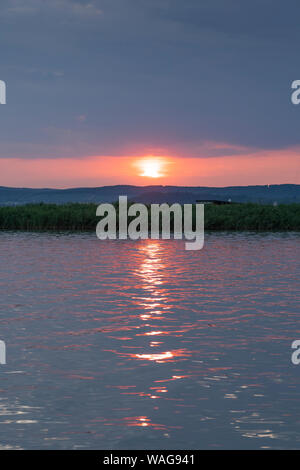 Tramonto sul Neusiedler See, una popolare destinazione turistica in Burgenland, Austria Foto Stock