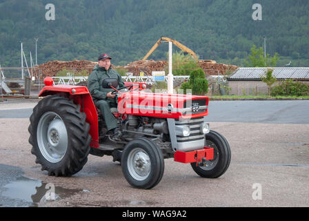 Uomo alla guida di Grigio Rosso 1965 Massey Ferguson 135 Multi Power maschio del trattore fuorigioco anteriore lato guida luminosa luccicanti vintage veterano Loch Santa Marina 1 p Foto Stock