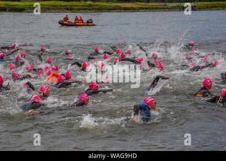 Neuwied, Renania Palatinato, Germania - 18 agosto 2019: i concorrenti della società Raiffeisen triathlon nuotare nel fiume Reno Foto Stock