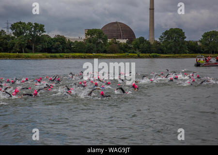 Neuwied, Renania Palatinato, Germania - 18 agosto 2019: i concorrenti della società Raiffeisen triathlon nuotare nel fiume Reno Foto Stock