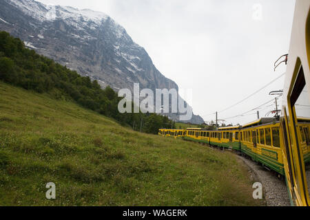 Il Wengernalpbahn treno da Kleine Scheidegg a Grindelwald, Oberland bernese, Svizzera: l'Eiger North Face sulla sinistra Foto Stock