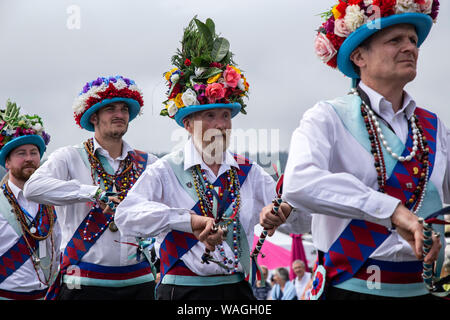 Morris ballerini folk a Sidmouth Folk Week Festival 2019 Foto Stock