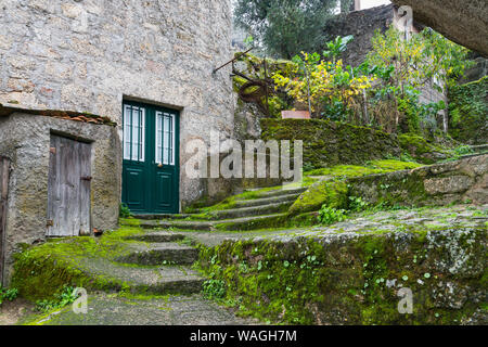 Street con MOSS e piante in Monsaraz, Portogallo Foto Stock