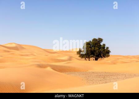 La cannella Deserto Deserto tra Mahout e Duqm, Oman Foto Stock