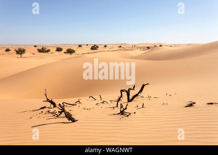 La cannella Deserto Deserto tra Mahout e Duqm, Oman Foto Stock