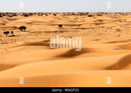 La cannella Deserto Deserto tra Mahout e Duqm, Oman Foto Stock