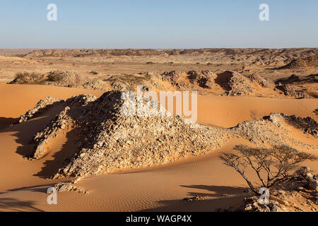 La cannella Deserto Deserto tra Mahout e Duqm, Oman Foto Stock