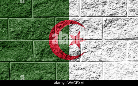 Bandiera di Algeria close up dipinta su un muro rotto Foto Stock