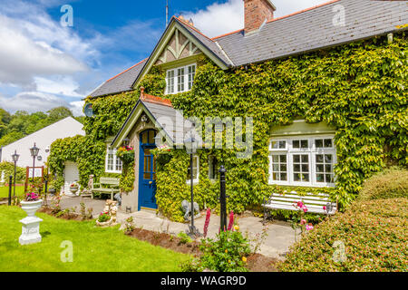 Westport nella contea di Mayo IrelandIve coperto in casa Foto Stock