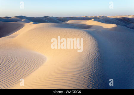 Dune bianche lungo la costa, Al Khaluf, Oman, Medio Oriente Foto Stock