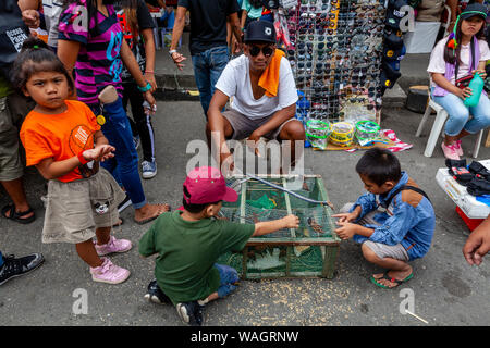 Bambini filippini Guardando gli uccelli in gabbie, Kalibo, Panay Island, Aklan Provincia delle Filippine. Foto Stock