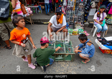 Bambini filippini Guardando gli uccelli in gabbie, Kalibo, Panay Island, Aklan Provincia delle Filippine. Foto Stock