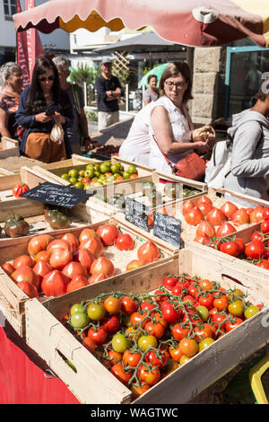 Più varietà di pomodori per la vendita presso il settimanale mercato all'aperto in Plougasnou, Francia Foto Stock