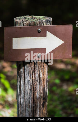 La freccia bianca rivolta verso destra sul cartello marrone attaccato ad un palo di legno. Foto Stock