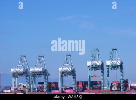 Immagine di più gru, portali e container nel porto. Foto Stock