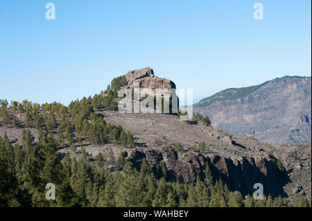 Interessante forma di roccia nei pressi di roccia di Nublo , Gran canarie, Spagna Foto Stock