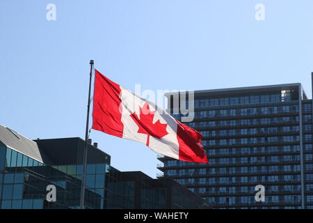 La bandiera canadese vola in Halifax! Foto Stock