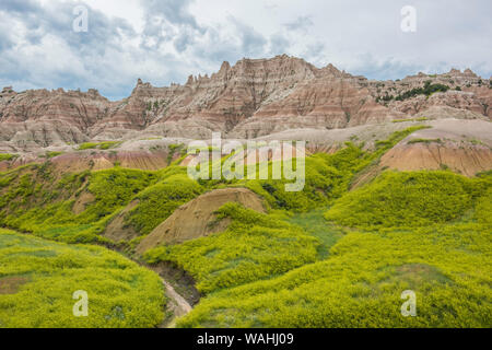 Parco nazionale Badlands, giallo tumuli area, Dakota del Sud, Stati Uniti, da Bruce Montagne/Dembinsky Foto Assoc Foto Stock