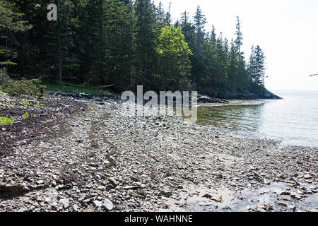 Costa rocciosa esposta da bassa marea, Deep Cove, isle au Haut, Maine. Foto Stock