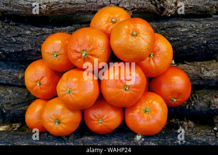 I mandarini. Foto Stock