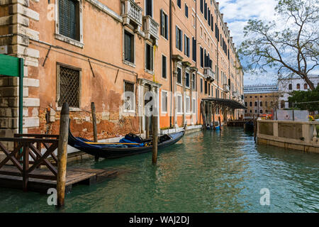 La parte posteriore delle Procuratie Nuove edificio con i Giardini Reali di Venezia (Royal Gardens) a destra. Dalla Calle Larga de L'Ascensione, Venezia, Italia Foto Stock