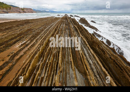 Flysch drammatica rock formazione Cantabric mare in Zumaia, Euskadi. Spagna Foto Stock