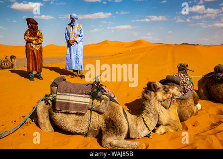 Merzouga Erg Chebbi, Sahara in Marocco. I gestori del cammello e cammelli in attesa sulle dune di sabbia Foto Stock