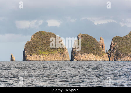 Australia e Tasmania. Le lanterne in Tasman National Park. Cape Hauy candelabro Rock e Totem Pole (arrampicata famose colonne) Foto Stock