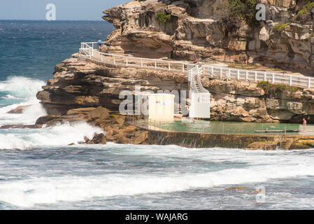 Australia, Nuovo Galles del Sud di Sydney. Ringhiera di Bondi a Coogee passeggiata costiera, sulla sommità delle scogliere di arenaria affacciato sulla costiera Bronte piscina Foto Stock