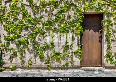 La Francia, La Garrigue. Mas du Garrigue, porta (PR) Foto Stock