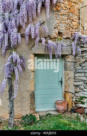 La Francia, La Garrigue, Mas du gariga. Porta in wisteria-coperta parete (PR) Foto Stock
