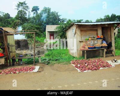 Questa immagine è stata catturata da qualche parte in Uganda, durante il paese del luglio - agosto 2012, epidemia di Ebola e raffigura due legno-telaio, chioschi sul ciglio della strada. La tettoia in legno sulla destra, è stato occupato dal suo titolare, chi preferisci impostare fuori piuttosto un display a colori di produrre, che comprendeva gli ananassi, pomodori, mango, papaia, e patate. Si noti che anche in una zona remota come questo, il titolare di azienda si terrà un telefono cellulare nella sua mano. Foto Stock