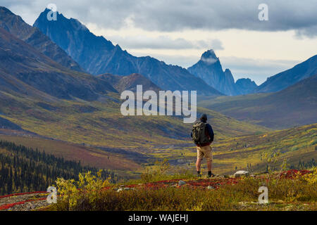 Canada, Yukon, Lapide parco territoriale. Escursionista prendendo in caduta viste. (MR) Foto Stock