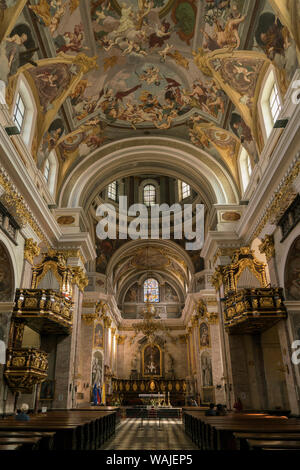 Slovenia Ljubljana. Cattedrale di Lubiana, ufficialmente denominato Chiesa di S. Niccolò, denominata anche San Nicholas Cathedral Foto Stock