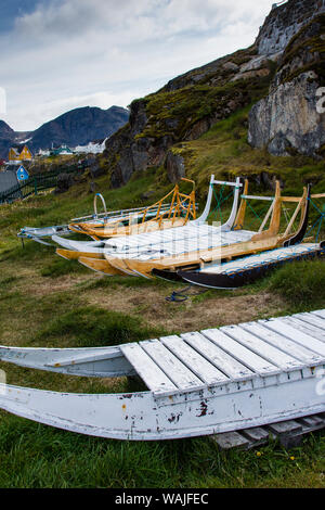 La Groenlandia. Sisimiut. Sled Dog in mostra presso il museo di storia. Foto Stock