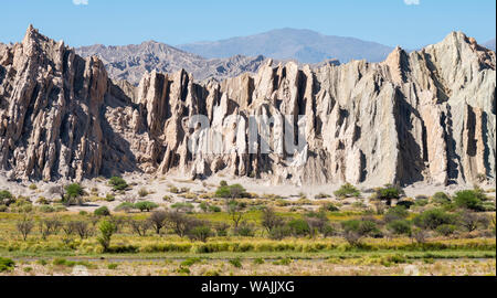 Quebrada de las Flechas del Valles regione calchaqui, Provincia di Salta, Cafayate, Argentina. Foto Stock