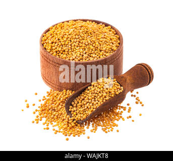 Giallo Senape Semi isolato su sfondo bianco con tracciato di ritaglio Foto Stock