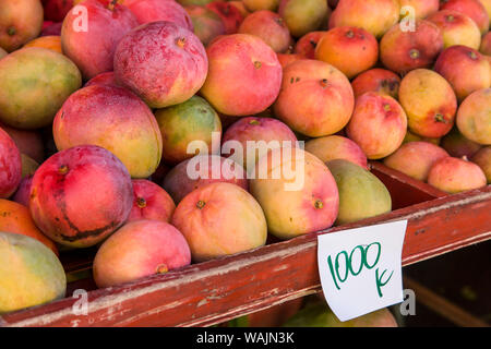 La Garita, Costa Rica. Rosso-Giallo mango trovato nel La Garita mercato agricolo. Mangifera indica "mango comune' o 'Indian Mango", è il solo albero di mango comunemente coltivata in molte regioni tropicali e subtropicali. Foto Stock