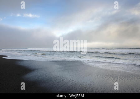 Gold Bluffs Beach, Prairie Creek Redwoods State Park, California Foto Stock