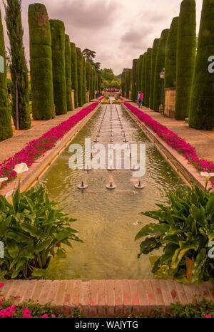 Spagna, Cordoba, Alcazar. I giardini e la piscina Foto Stock