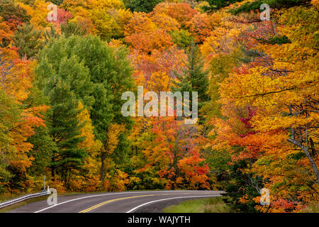 Colore di autunno lungo l'autostrada 26 vicino a Houghton nella Penisola Superiore del Michigan, Stati Uniti d'America Foto Stock