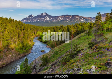 La forcella del sud della medicina due nel fiume di Lewis e Clark National Forest, Montana, USA Foto Stock