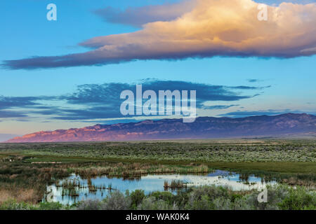 Montagne di serpente la riflessione in zone umide del Parco nazionale Great Basin, Nevada, STATI UNITI D'AMERICA Foto Stock
