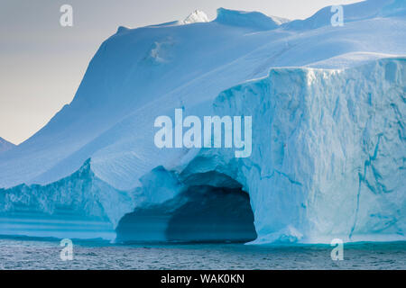 La Groenlandia, Uummannaq. Iceberg gigante vicino alla città con un uccello che sta volando nella parte anteriore di essa. Foto Stock