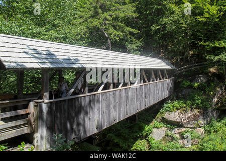 Sentinel ponte di pino, Flume Gorge, Franconia Notch State Park, New Hampshire, STATI UNITI D'AMERICA Foto Stock