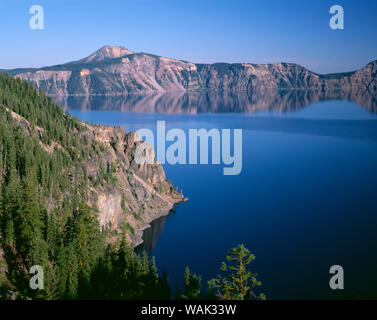 Stati Uniti d'America, Oregon, il Parco nazionale di Crater Lake. Foresta di conifere sopra la baia di acciaio sul lato nord del cratere del lago e distante Monte Scott. Foto Stock