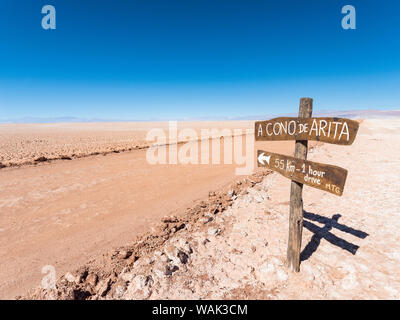 Salar de Arizaro, uno dei più grandi saline del mondo. L'Altiplano, nei pressi del villaggio di Tolar Grande, vicino al confine del Cile. Sud America, Argentina Foto Stock