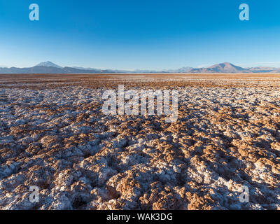 Sunset over Salar de Arizaro, uno dei più grandi saline del mondo. L'Altiplano, nei pressi del villaggio di Tolar Grande, vicino al confine del Cile. Sud America, Argentina Foto Stock