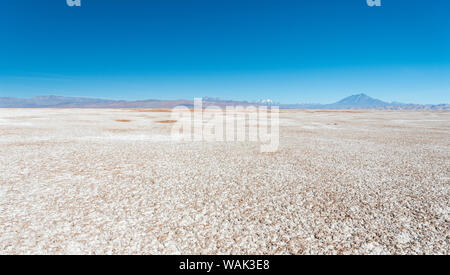 Salar de Arizaro, uno dei più grandi saline del mondo. L'Altiplano, nei pressi del villaggio di Tolar Grande, vicino al confine del Cile. Sud America, Argentina Foto Stock